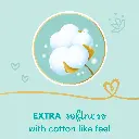 612gd2sktsL._AC_SL1500_.webp